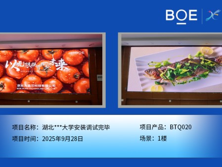 湖北***大学安装调试完毕