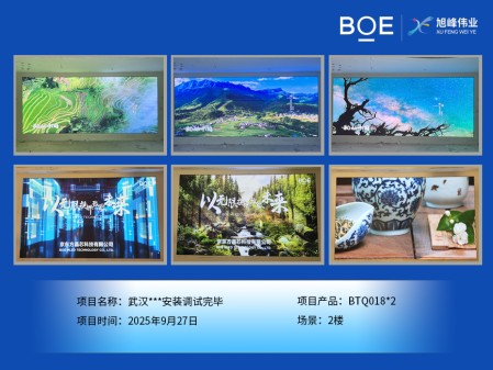武汉***安装调试完毕