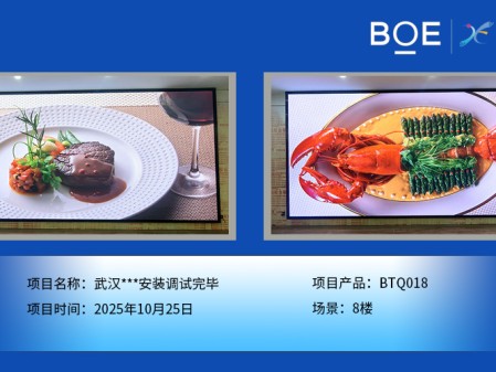 武汉***安装调试完毕