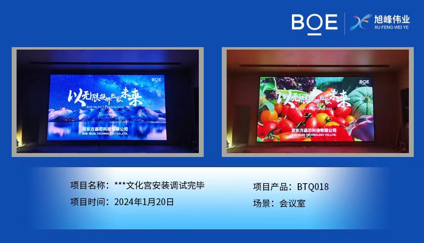 乐东***文化宫会议室BTQ018安装调试完毕