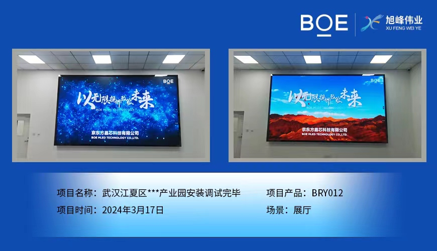 沧州武汉江夏区**产业园展厅BRY012安装调试完毕