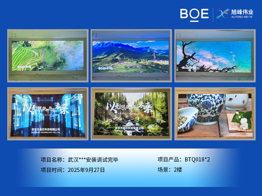 武汉***安装调试完毕