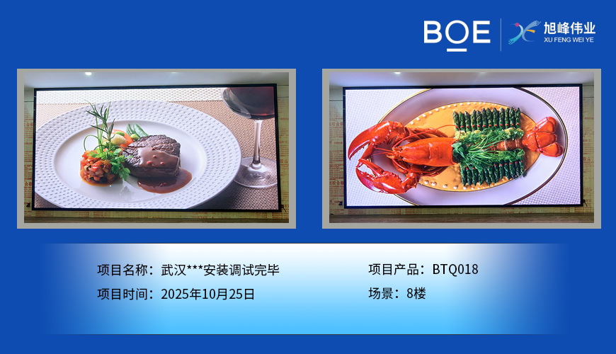 武汉***安装调试完毕